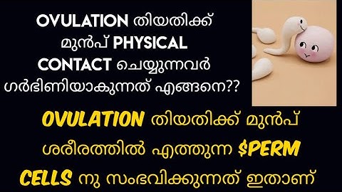 What Happens to the $perm When Egg Comes Late Malayalam