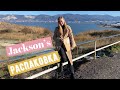 распаковка с Jackson’s📦🔥MICHAEL HARDING : OIL PAINT