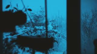 Tamino - Indigo Night - Theremin Version