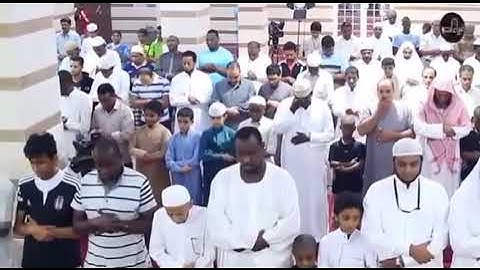 شيخ ابو بكر الشاطري ماتيسر من سورة النحل