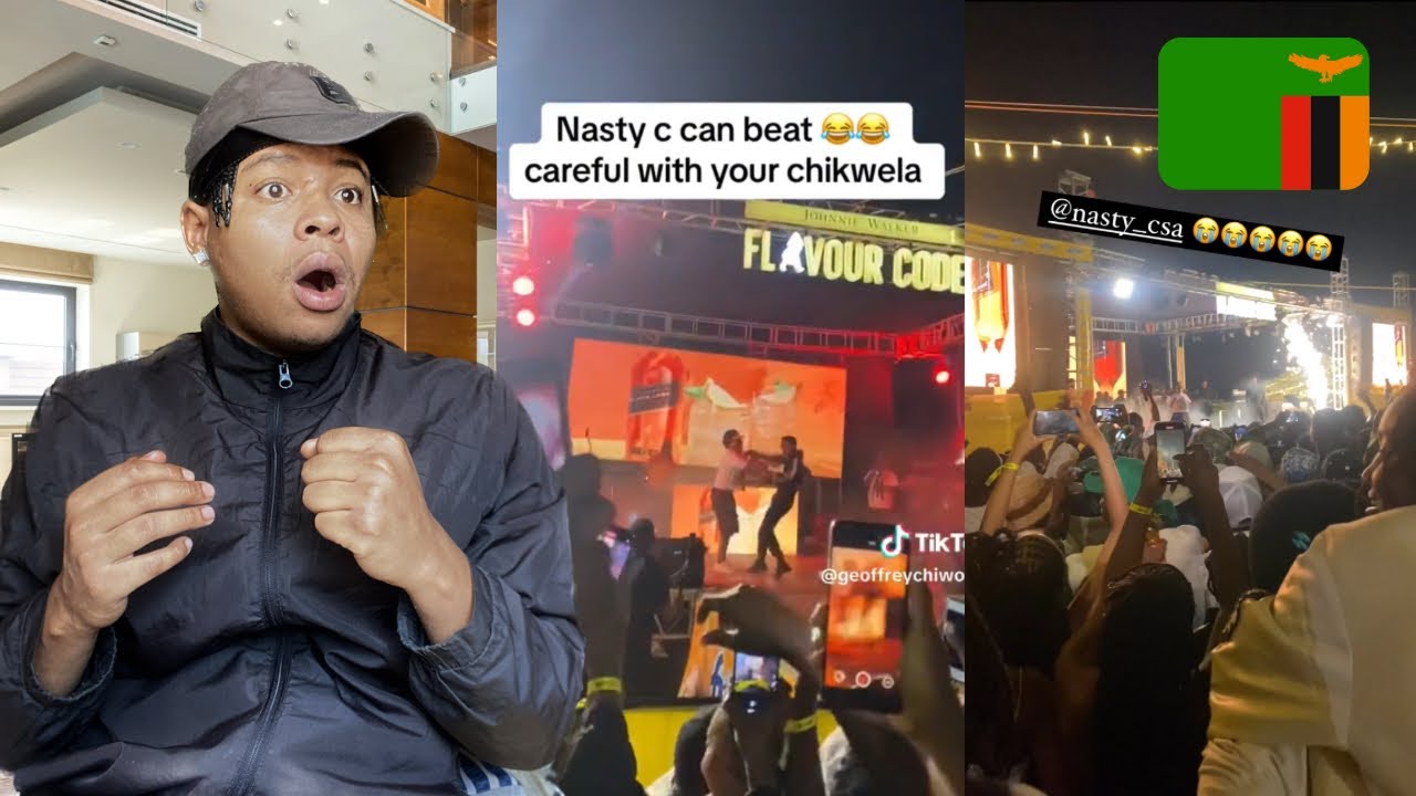 NastyC Knockout a Fan in Lusaka, Zambia 😱 African Throne World Tour