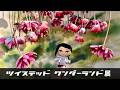 【ツイステ】六本木ミュージアムで開催されてたツイステ展のクオリティが高すぎてヤバかったので共有!!!