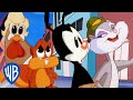Animaniacs | Everyone But the Warners | Classic Cartoon Compilation | WB Kids