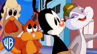 Animaniacs | Everyone But the Warners | Classic Cartoon Compilation | WB Kids