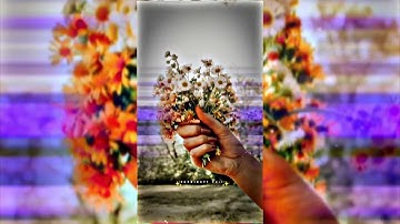 nothing gets Glurry_English_-_Song Lyrics_XML FILE🔰🔰🚫 #XGXKINGYT #youtube #channel   #Cosparkhymdeit