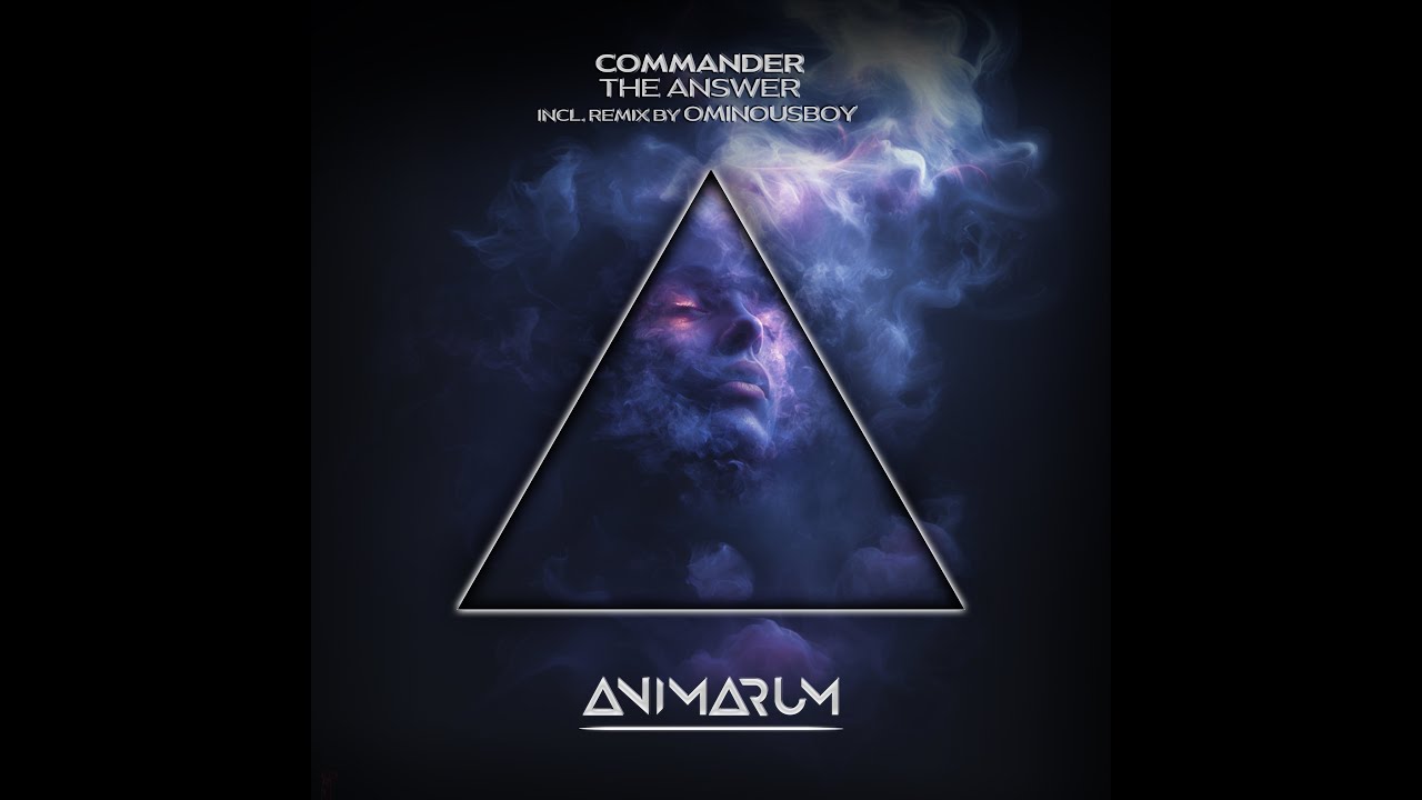 Commander   The Answer (Ominousboy Remix) | Animarum Recordings