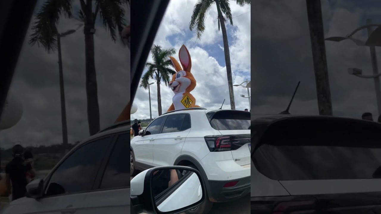 Coelho gigante em Altamira 