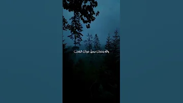 الحب انت ولولا انت ماالحب ياحسين 