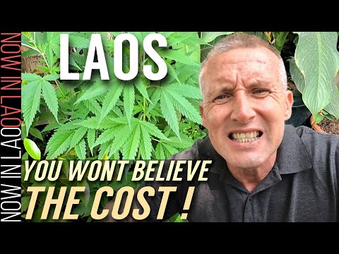 UNBELIEVABLE COST of Dental Work in Laos! + Laos Visa Renewal | Now in Lao