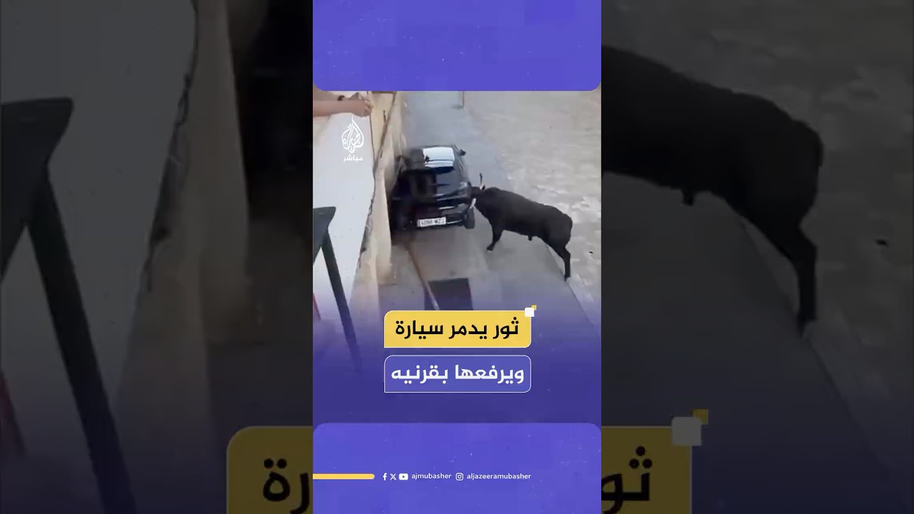 ثور يدمر سيارة ويحركها من مكانها أمتارا عدة خلال مهرجان مخصص للثيران في إسبانيا