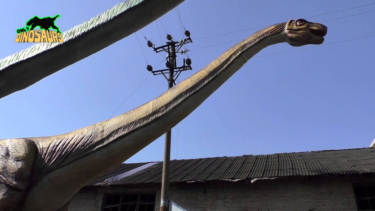 30 Meters Long Animatronic Argentinosaurus Model YouTube