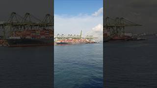 Busy Container Terminal Singapore #pelaut #ship #pelautindonesia #seamanstory #subscribe #shorts