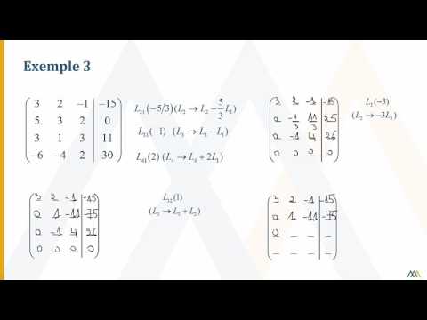 Vidéo: Comment Résoudre Une Matrice En Utilisant La Méthode Gaussienne