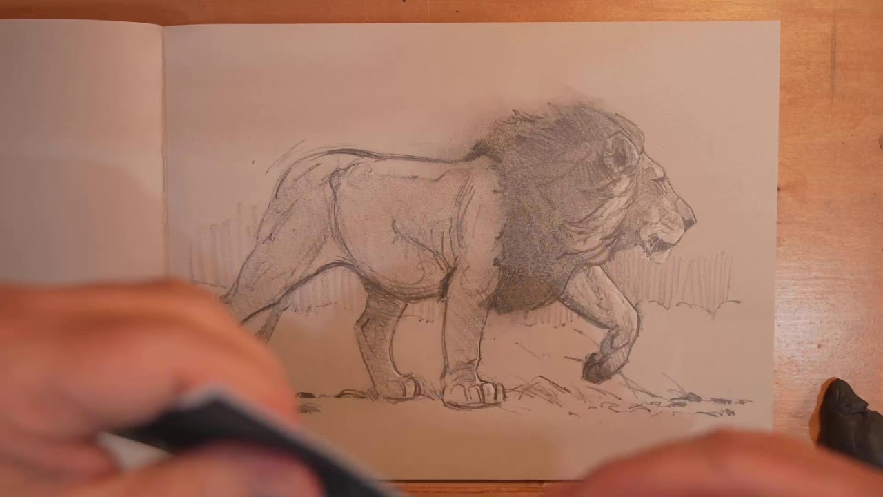 LIVE: Animal Drawing for my NEW Book