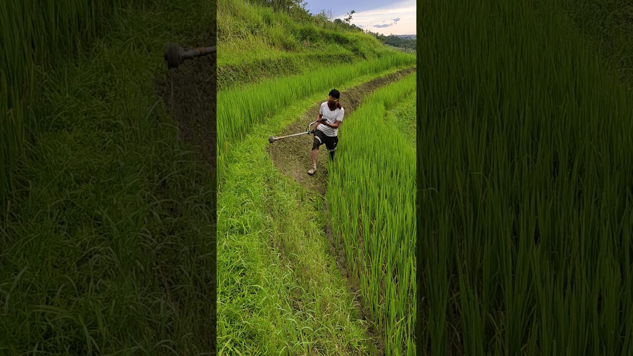 Trimming.. - YouTube