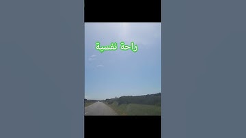 سورة النمل #راحة_نفسية #تلاوة_خاشعة #قرآن #قران_كريم #explore #اكسبلور #لايك #سبحان_الله #ذكر_الله