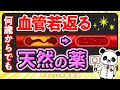 【医師解説】何歳からでも血管を若返らせる!天然の薬について解説(血管)