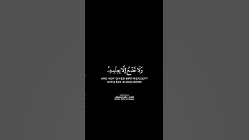 إليه يُردُّ علم الساعة شاشة سوداء | كرومات قرآن كريم بصوت #ماهر_المعيقلي | #سورة_فصلت