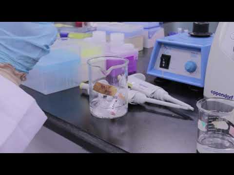 Video: Ribonuclease - Petunjuk Penggunaan, Harga, Ulasan, Analog