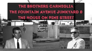 Celebrity The story of John & Charles Carneglia of The Gambino Crime Family. On location in East Ny, Brooklyn Wealth