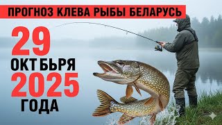 видео: ПРОГНОЗ КЛЁВА в Беларуси на 29 октября 2025 года: Бросай все и на рыбалку! картинка: ПРОГНОЗ КЛЁВА в Беларуси на 29 октября 2025 года: Бросай все и на рыбалку!