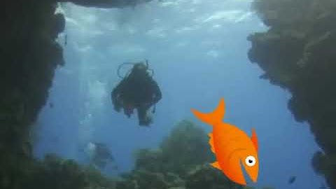 AVS Video Editor Sample Project