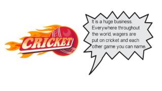 Why People Prefer Online cricket betting to make Money Online? screenshot 4