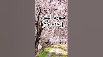 #sheikhmansouralsalimi #اكسبلور #دويتو #القرآن_الكريم #duet #تيك_توك #حالات_واتس #ترند #سورة_البقرة