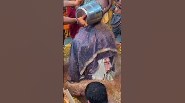 हर हर महादेव | Mahadev status #mahadev #bholenath #shiv #shorts #status #bhakti #bhajan #shiva #om