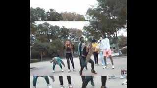 Favela Baby - No Hook Dança Çarina