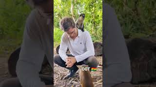 Friendly Mona monkeys in Ghana. Tap in for amazing escape the city tour package #visitghana