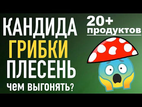 КАНДИДА, ГРИБКИ, ПЛЕСЕНЬ 20 + продуктов для их НЕЙТРАЛИЗАЦИИ