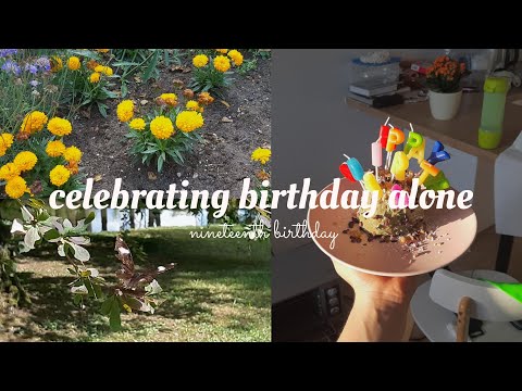 celebrating nineteenth birthday alone🍰🎁 | korean lunch box cake, birthday, groceries