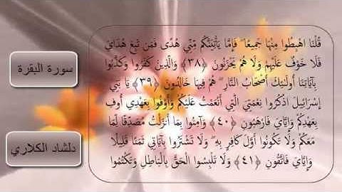 بەشێک سورة البقرة القارئ دلشاد أحمد الكلاري