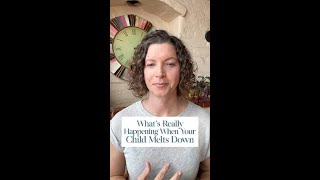 What's Really Happening When Your Childs Melts Down #shorts