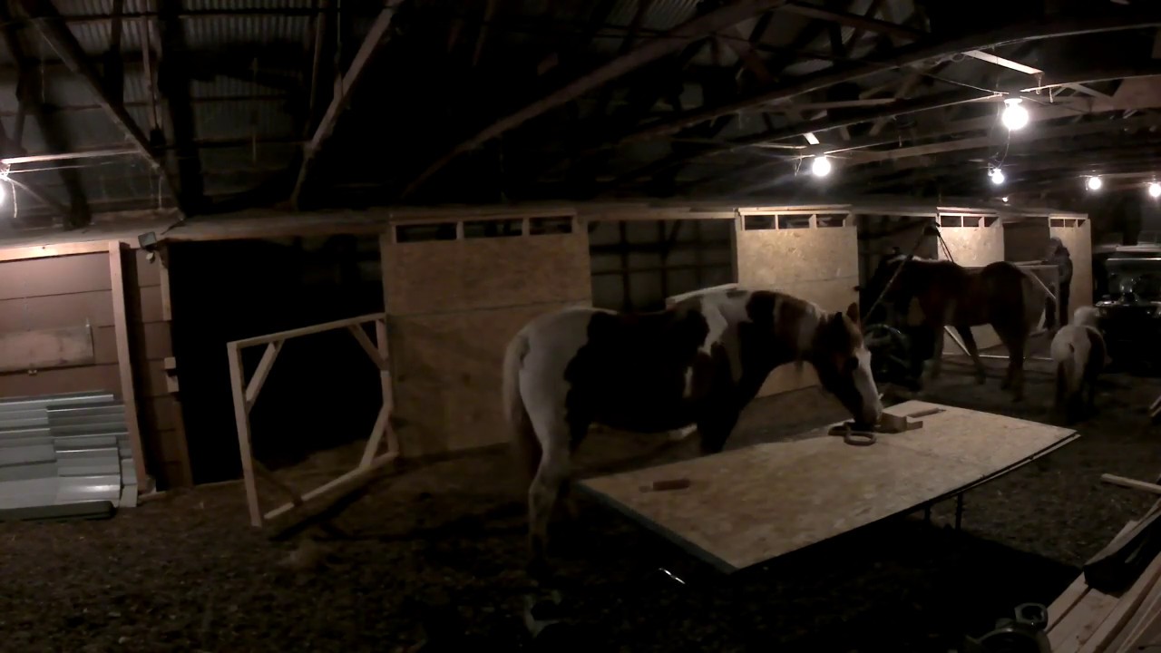 Converting a Chicken House to Horse Barn In One Day - YouTube Converting A Chicken House To Horse Barn In One Day - Youtube