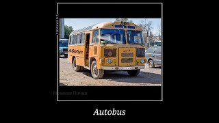 Амогус Автобус