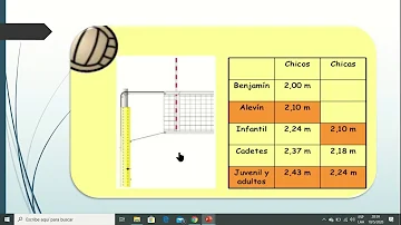 ¿Cuál es la función del Libero en el voleibol?