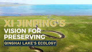 Xi Jinping's vision for preserving Qinghai Lake's ecology