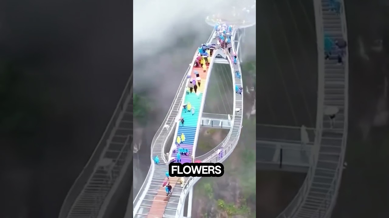 Royal Bridge in China 🌉✨ A Stunning Engineering Marvel in Bloom!