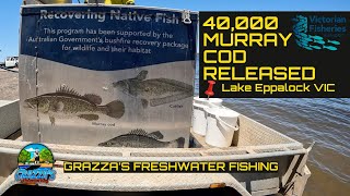 Stocking 40,000 Murray Cod at Lake Eppalock