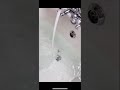 Video Image
