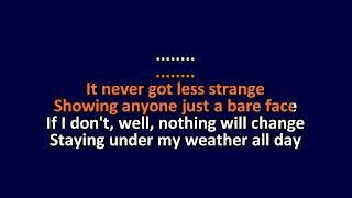 Fleet Foxes - Can I Believe You - Karaoke Instrumental Lyrics - ObsKure