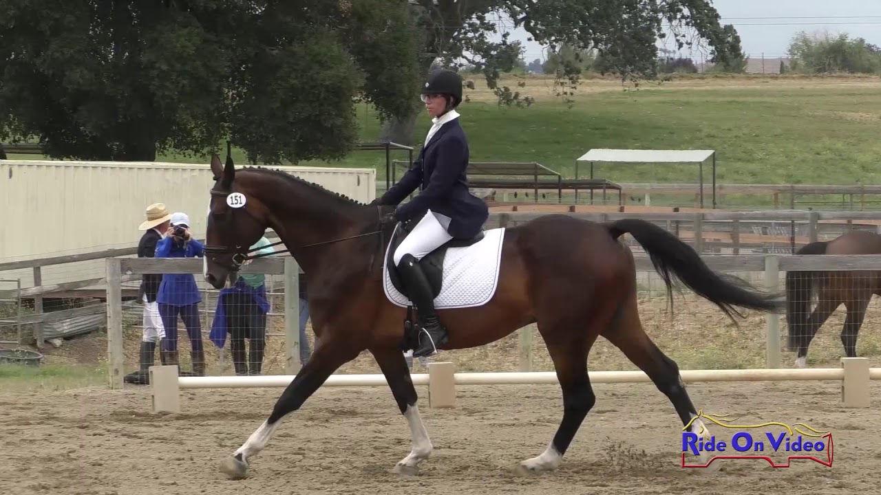 horseshoe bend 151D Chloe Kischuk on Defender JR Beginner Novice Dressage Shepherd Ranch June 2019