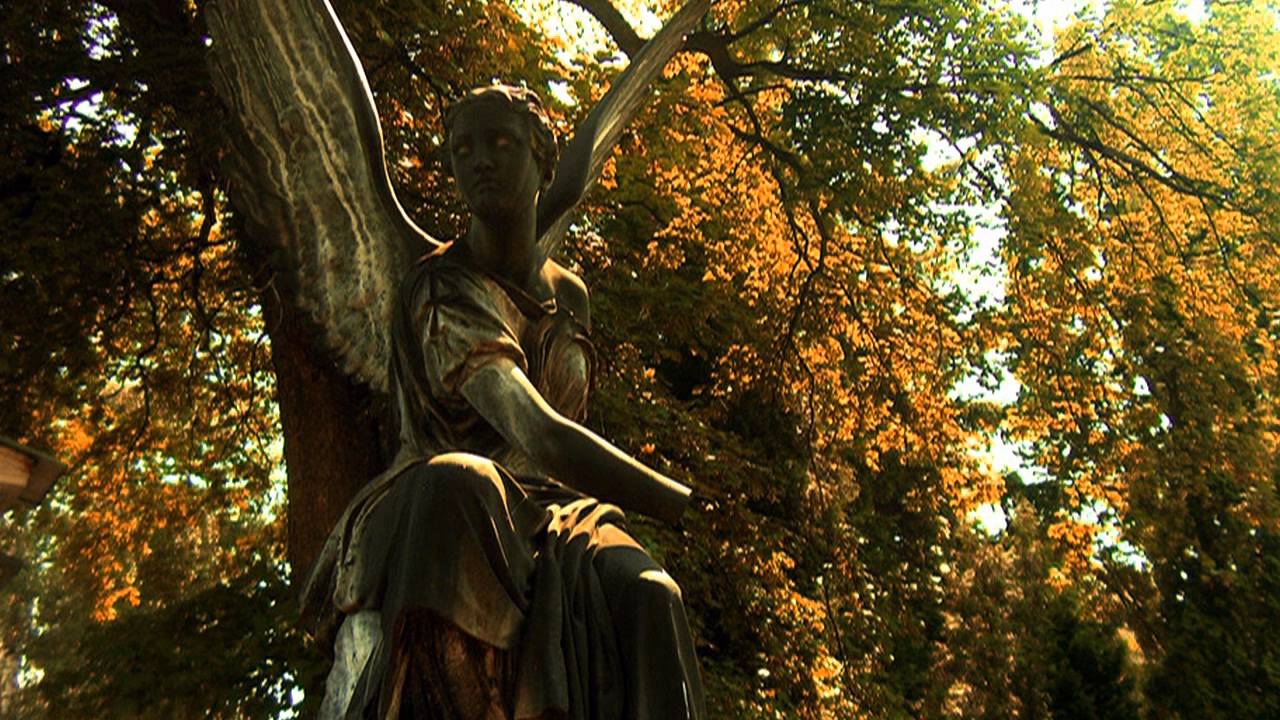 Z I N V M M - B L E D H E N