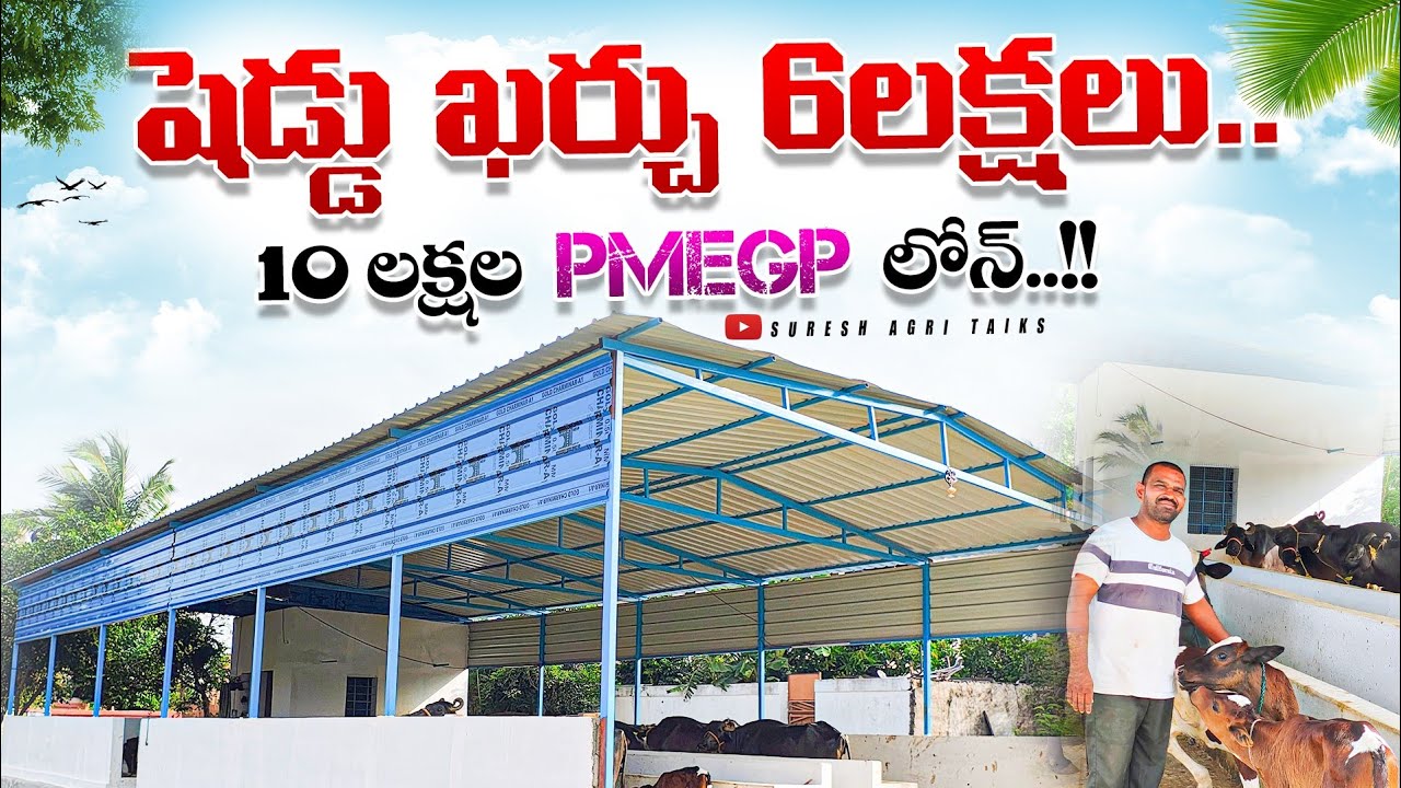 #dairyfarm షెడ్డు ఖర్చు 6