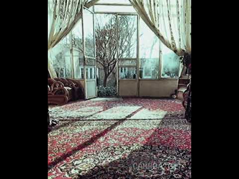 محمد بشر في نوره قمر