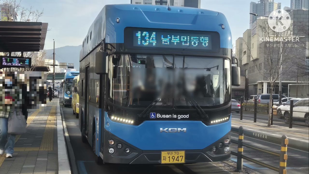 부산시내버스 사진 모음집 33편