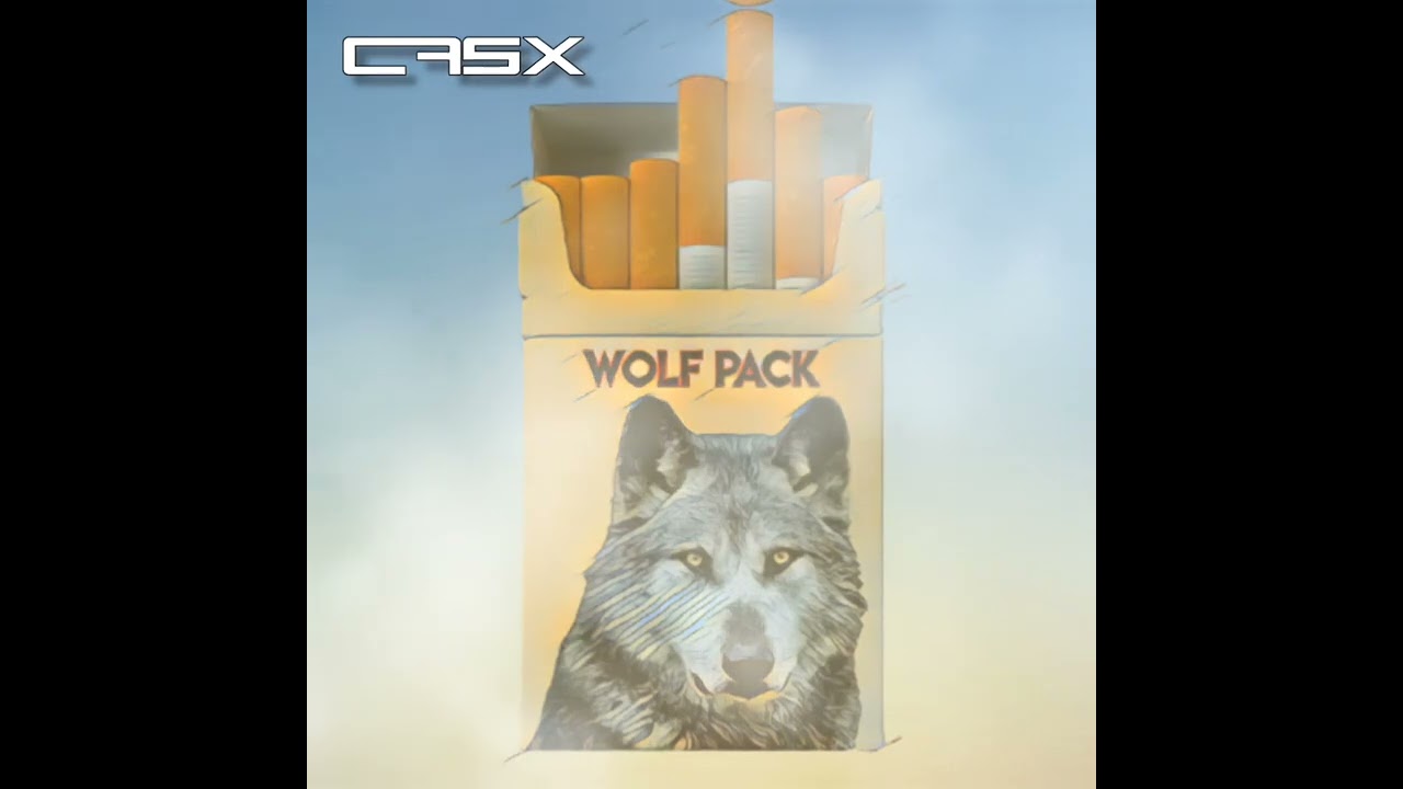 Wolf Pack | CasX | Official Audio | Part 2/2 (Full Song in Description)