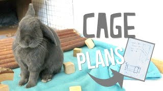 New Cage Plans & Organizing